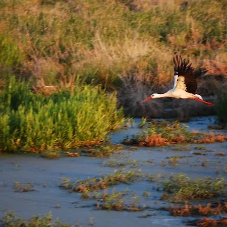 Gotland Mecklenburg Pool Alte Schule Barlin Dargun