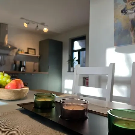 Apartment Gotland Mecklenburg Pool Alte Schule Barlin *